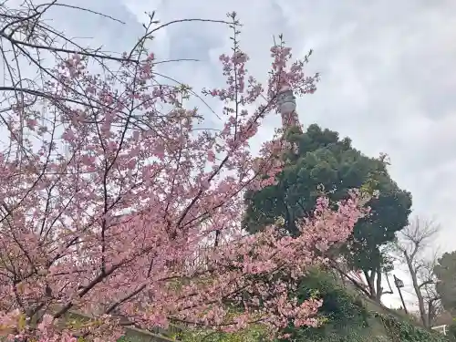 増上寺塔頭 三縁山 宝珠院の景色