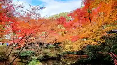 圓光寺(京都府)