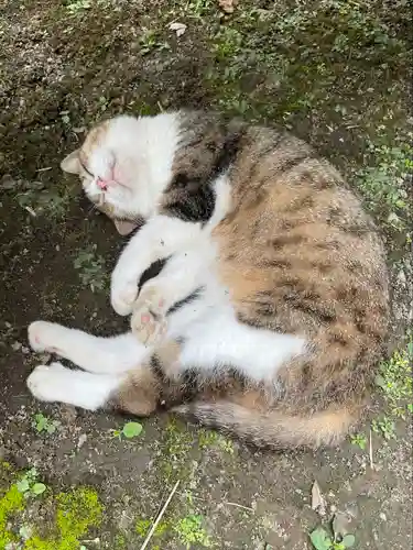 小松寺(千葉県)