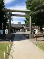 浅草神社の鳥居