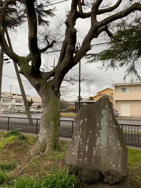 金刀比羅大神の自然