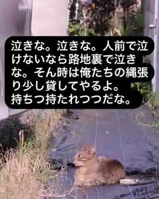 専念寺(大阪府)