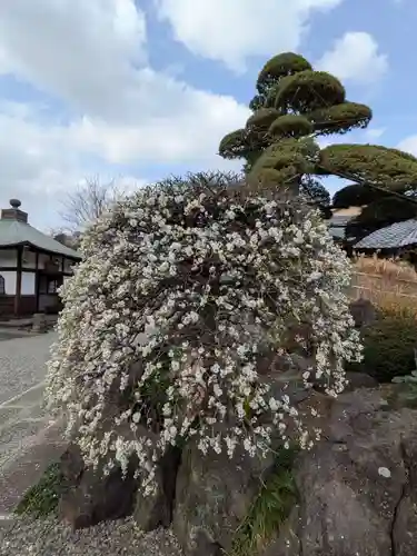 松應寺(東京都)