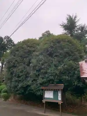 高田天満宮の自然