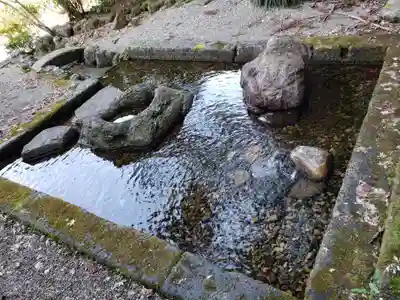 常国神社の手水舎