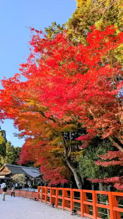 賀茂別雷神社(上賀茂神社)(京都府)