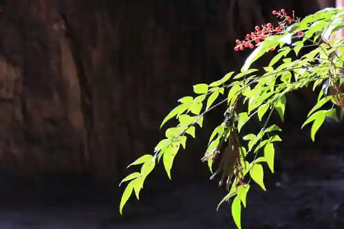 鹿島大神宮の庭園