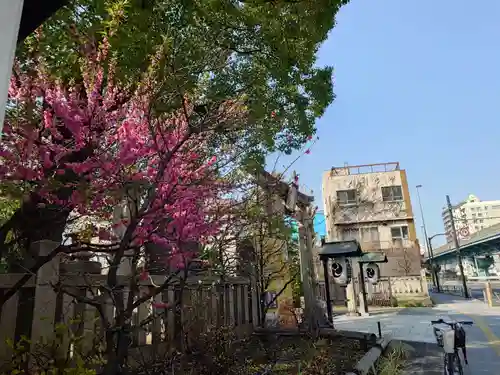 素盞雄神社(東京都)