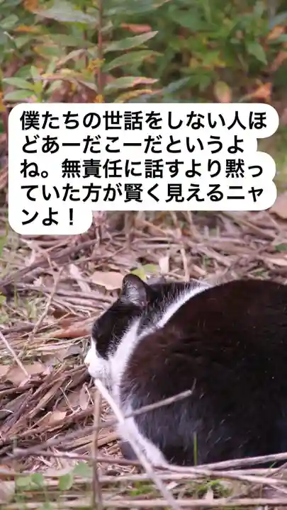 専念寺(大阪府)