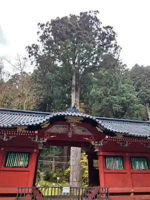 日光山輪王寺 常行堂(栃木県)