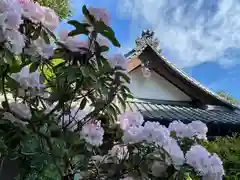 牟禮山観音禅寺の自然