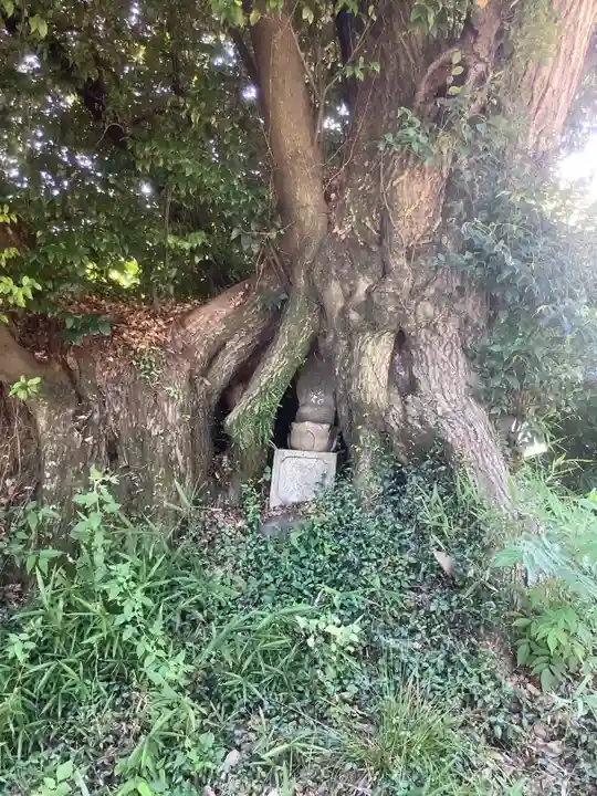観福寺(愛知県)