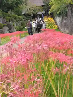 横浜　西方寺(神奈川県)