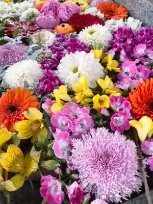 新川皇大神社の手水舎