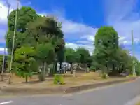 市神社の自然