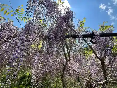 天台宗 五大山 白毫寺(兵庫県)