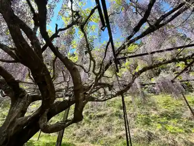 天台宗 五大山 白毫寺(兵庫県)