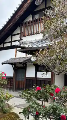 新德禅寺 (新徳寺)(京都府)
