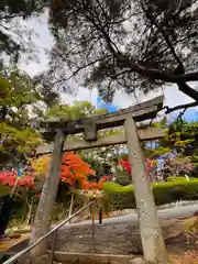 紅葉八幡宮(福岡県)