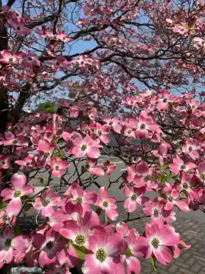 高巌寺(福島県)