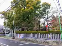 東八幡社の自然