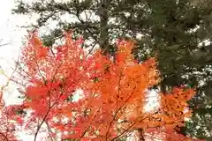 眞田神社の自然