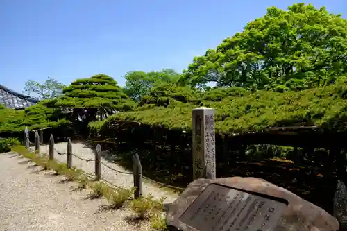 善峯寺(京都府)