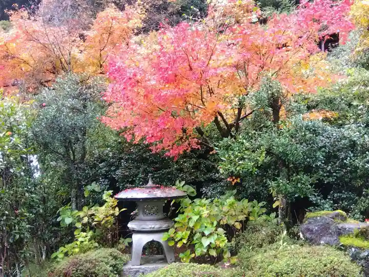 大安禅寺(福井県)