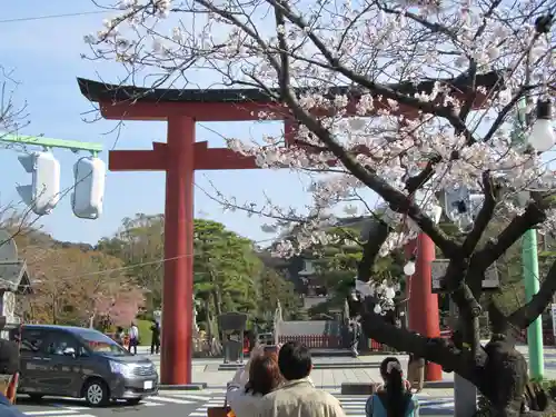 鶴岡八幡宮の鳥居