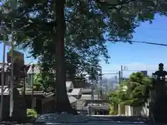 枚岡神社の景色