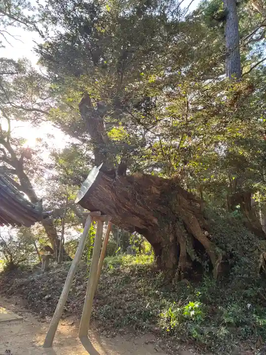 木内大神(千葉県)