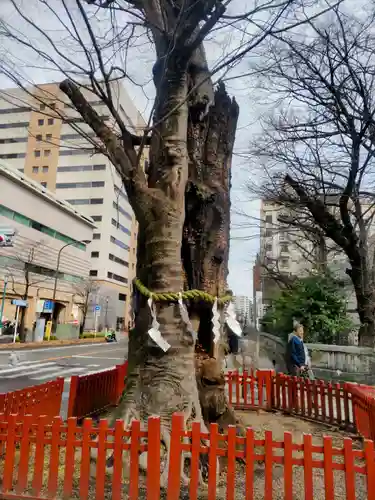 大國魂神社(東京都)