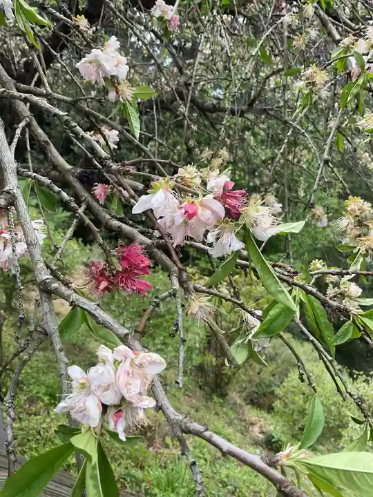 日龍峯寺(高澤観音)(美濃清水)(岐阜県)