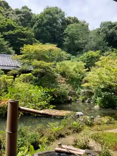 実相院門跡の庭園