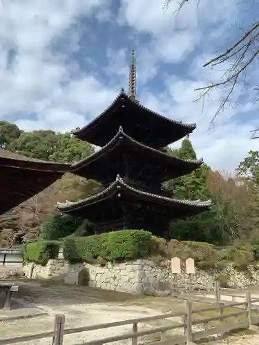 園城寺（三井寺）(滋賀県)