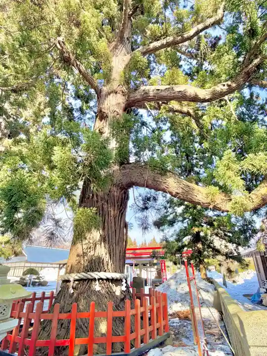 志和古稲荷神社の{uncategorized: "未分類", other: "その他", undefined: "問題あり", building: "その他建物", grave: "お墓", sacred_gate: "鳥居", guardian: "狛犬", statue: "像", buddha: "仏像", history: "歴史", nature: "自然", garden: "庭園", animal: "動物", pagoda: "塔", temizu: "手水舎", mountain_gate: "山門・神門", sanctuary: "本殿・本堂", subordinate: "末社・摂社", art: "芸術", scenery: "景色", jizo: "地蔵", ema: "絵馬", goshuin: "御朱印", omikuji: "おみくじ", items: "授与品その他", amulet: "お守り", goshuincho: "御朱印帳", eats: "食事", festival: "お祭り", votive_dance: "神楽", shichigosan: "七五三参", wedding: "結婚式", experience: "体験その他", initially: "初詣", around: "周辺", anti_infection: "感染症対策"}