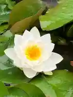 真言宗 善通寺派 薬王寺(香川県)