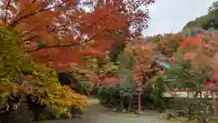 鍬山神社(京都府)