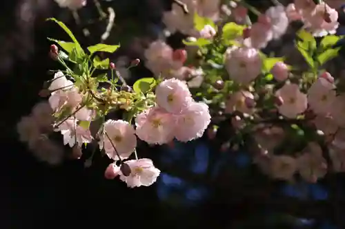 御札神社の自然