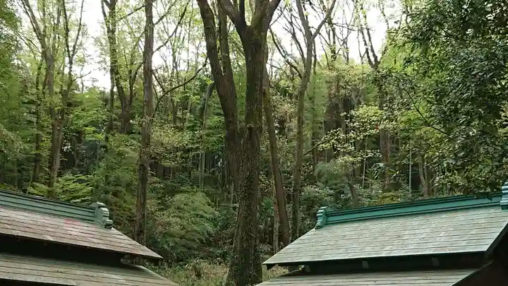 大麻止乃豆乃天神社のその他建物