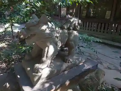 駒木諏訪神社の狛犬