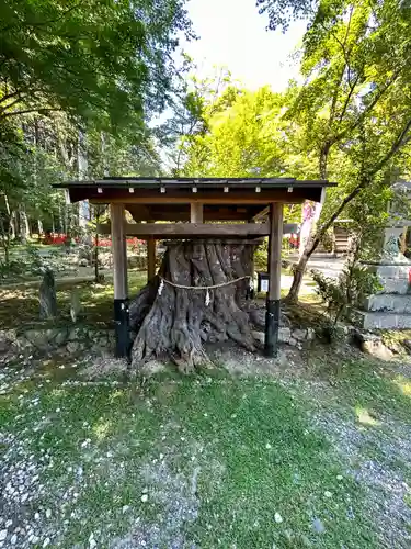 大原野神社(京都府)