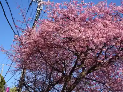素盞嗚神社の自然