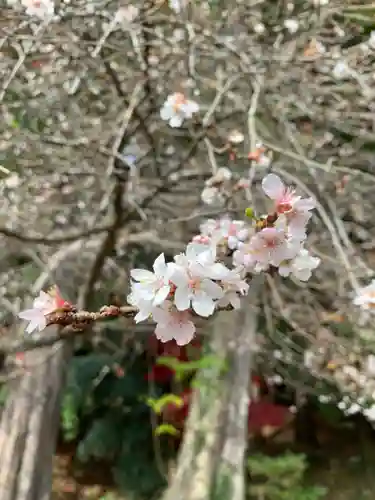 鹿島大神宮(福島県)