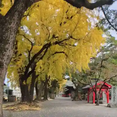 美奈宜神社(福岡県)