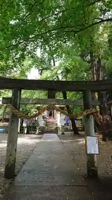 下野 星宮神社の鳥居