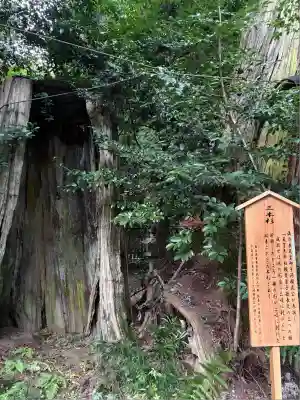 香取神宮(千葉県)