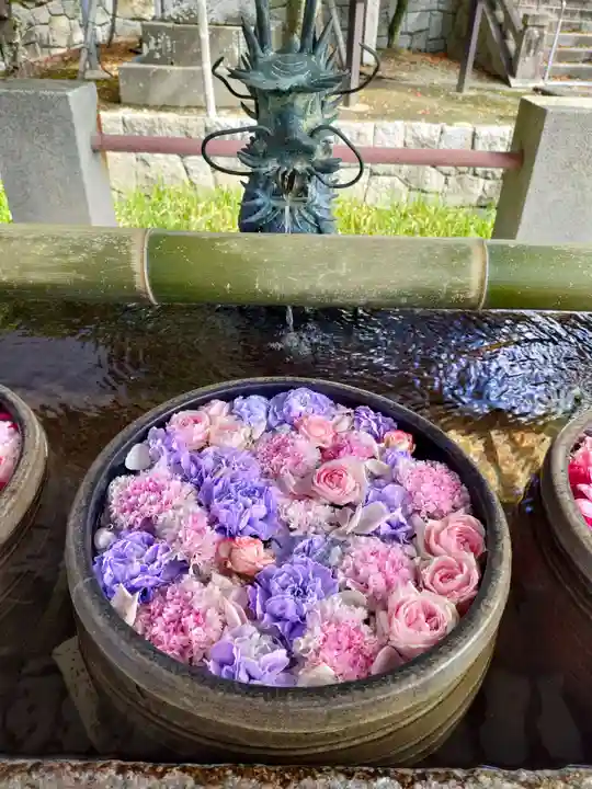 津島神社の手水舎