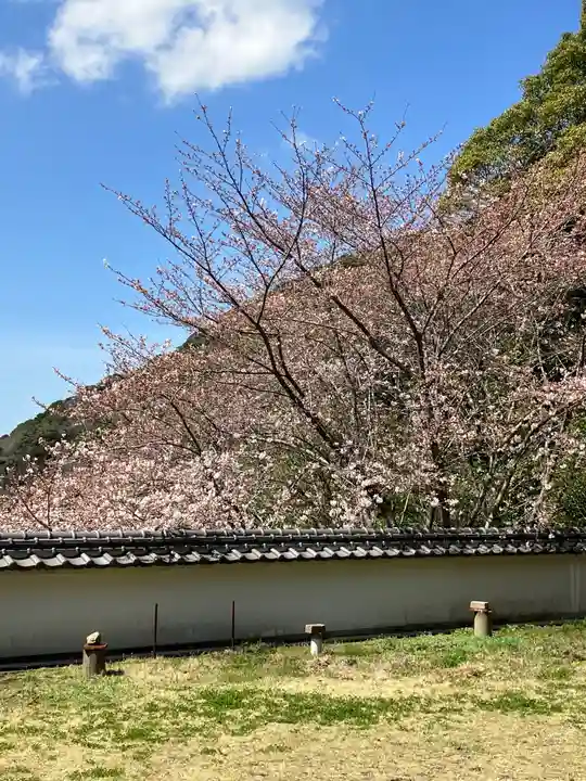 大山祇神社の自然
