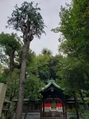 白金氷川神社(東京都)